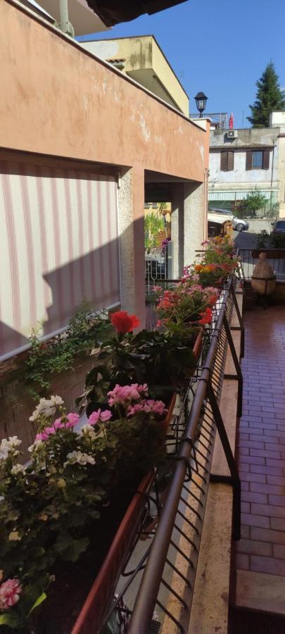 Elisa E Carla House Beautiful Apartments On The Cassia Rome Bagian luar foto